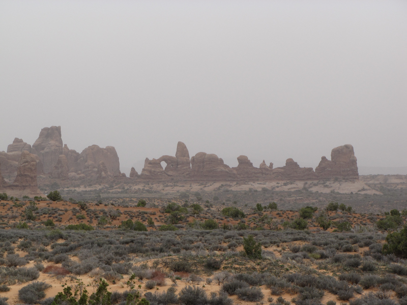 Looking towards the parade of elephants
