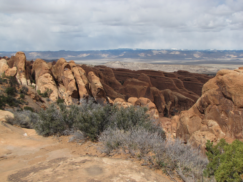 Rock fins