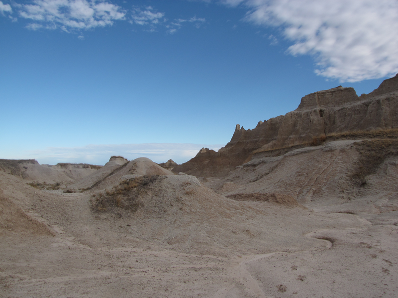 Barren lands
