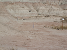 Blue trail markers