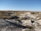 Landwaves