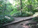 Take a left onto the Midland Trail