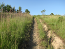 Steep dirt trail