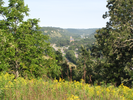 View from the bluff