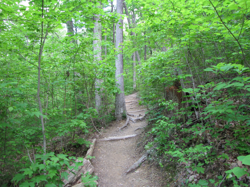 Climbing