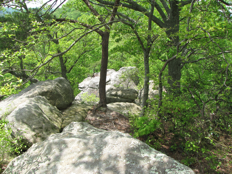 Lookout