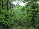 Green view