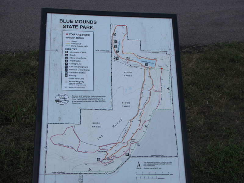 Map board