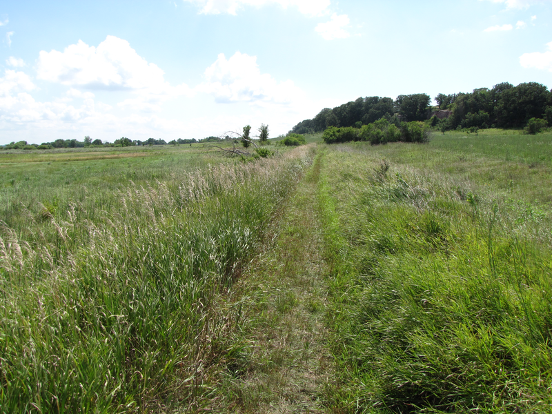 Trail along the old railroad grade