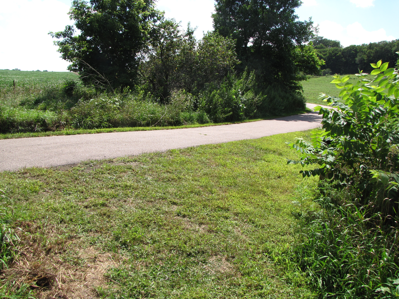 Tee - go right onto the paved path