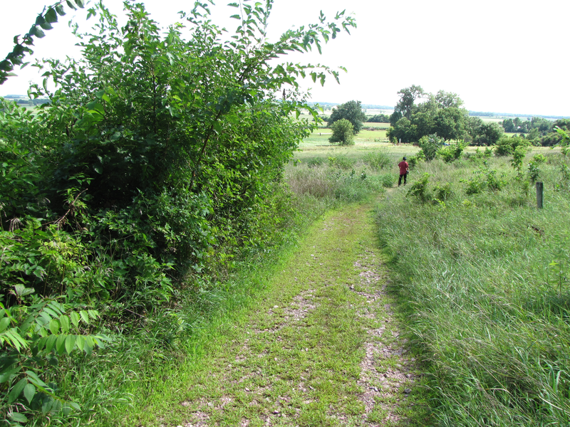 Trail heading away from the quarry