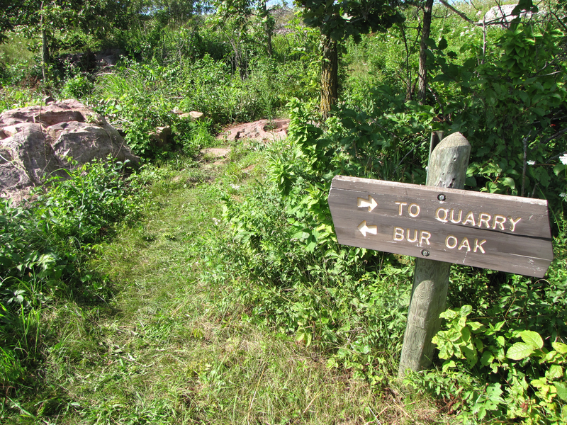 Follow the trail that heads directly up hill