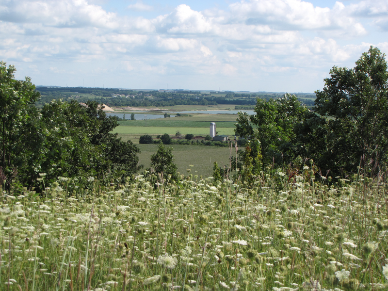 Farm
