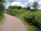 Branch - go left and stay on the paved trail