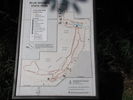 Map board