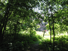 Exiting the woods to the quarry