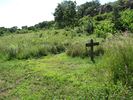 Branch - head right and follow the Burr Oak Trail