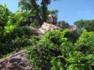 Rock Jumble