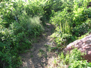 Burr Oak Trail