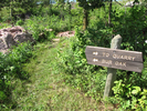 Follow the trail that heads directly up hill