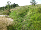 Volunteer trail to the left - go up the hill