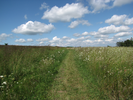 Trail to the wild blue yonder