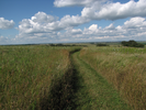 Upper cliffline trail