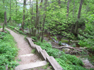 Walking along stream
