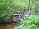 Bridge over cascade
