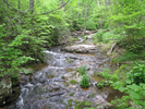 Cascade