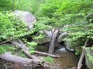 Stream