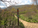 Upper falls signpost