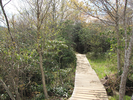 Boardwalk