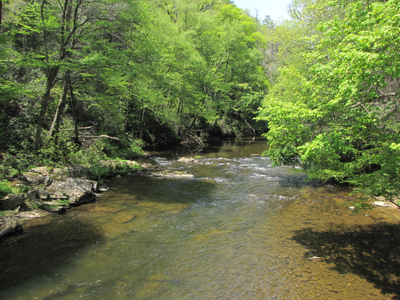 River view from bridge