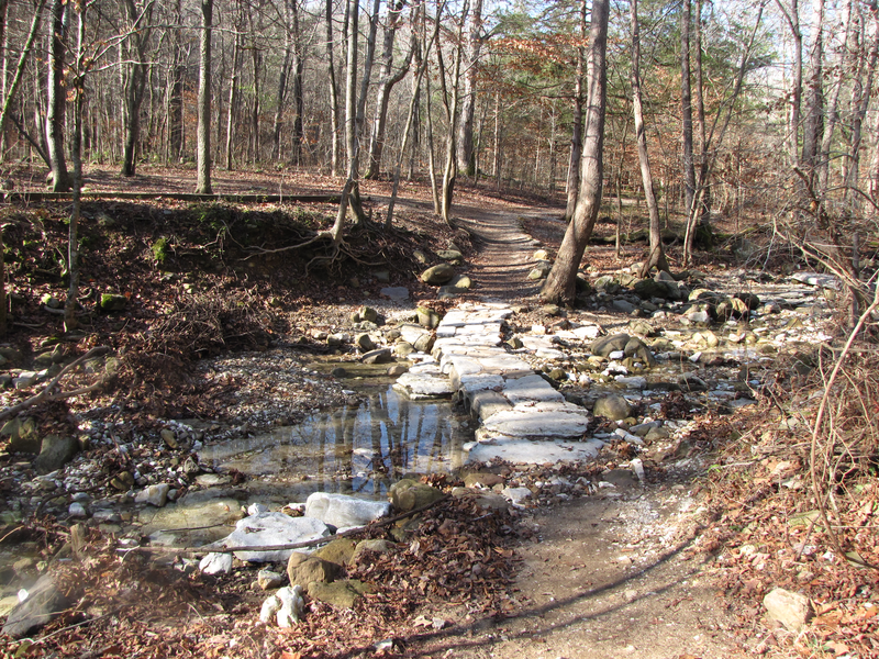 Stepping stone bridge