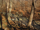 Dry streambed