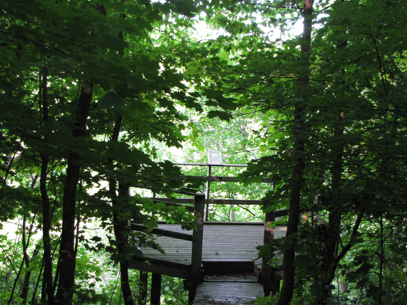 Overlook