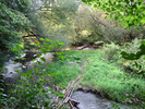 River crossing