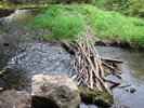 Stick bridge - be careful