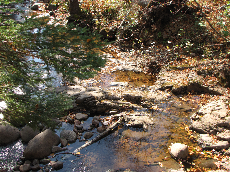 Stream view from bridge