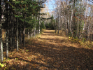 Hiking along a wide well tended trail