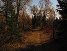 Glimpses of Lake Superior