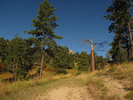 View along the trail