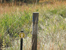 Cabin trail marker