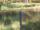 Trail marker