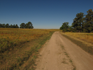 Walking along the gravel road