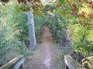 Trail leading away from the bridge