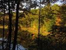 Shoreline in the late fall light