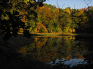 Shoreline reflections in the late fall light