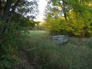 Tiny bridge along the trail